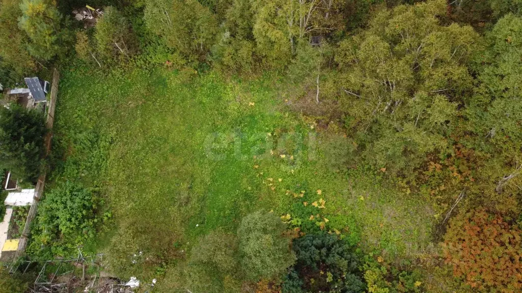 Дом в Камчатский край, Елизовский муниципальный округ, Солодок СНТ  ... - Фото 2