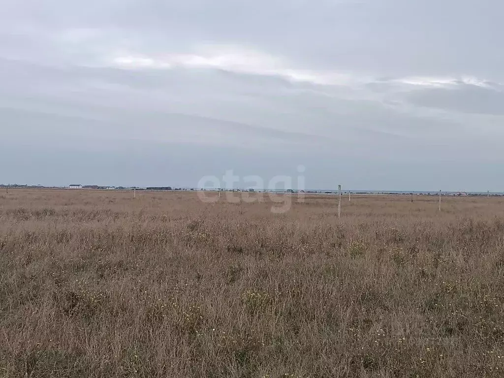 Участок в Крым, Сакский район, Молочненское с/пос, с. Витино  (6.0 ... - Фото 1