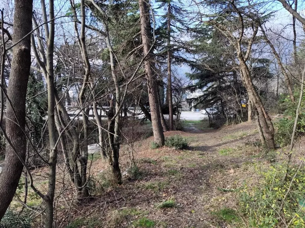 Участок в Крым, Ялта муниципальный округ, Массандра пгт ш. ... - Фото 2