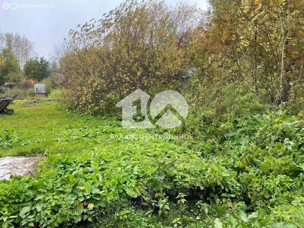 Участок в Мошковский район, СНТ Жилстроевец, 114А (6 м) - Фото 0