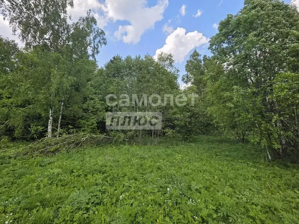 Участок в Московская область, Клин городской округ, д. Тиликтино  ... - Фото 2
