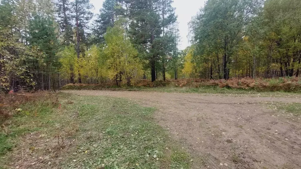 Участок в Иркутская область, Иркутский муниципальный округ, Пчелка СНТ ... - Фото 2
