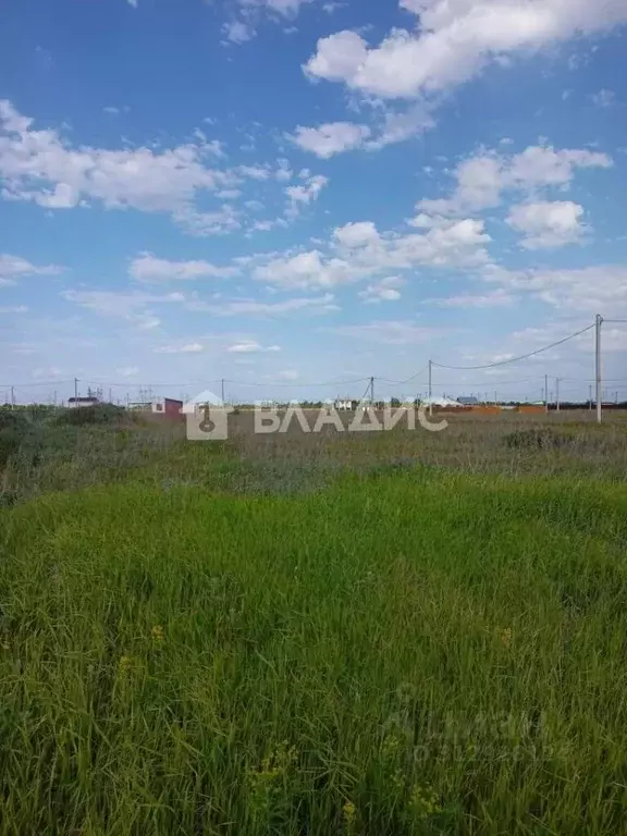 Участок в Саратовская область, Балаковский район, с. Натальино ул. ... - Фото 0