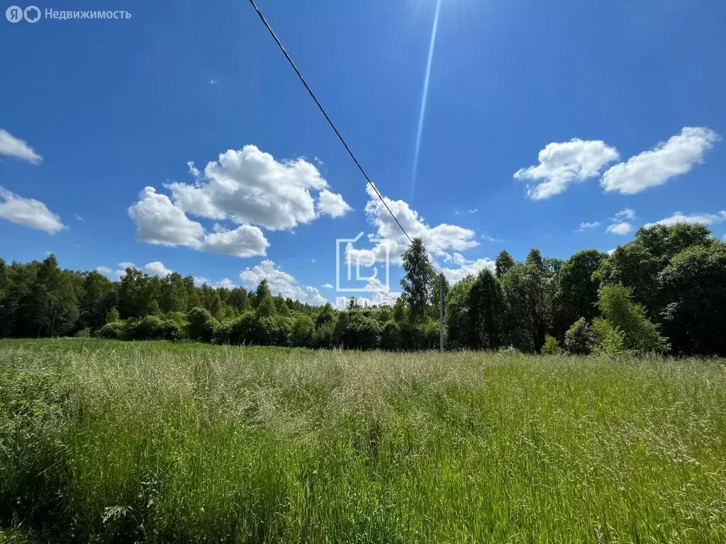 Участок в сельское поселение Совхоз Чкаловский, деревня Рындино (34 м) - Фото 0