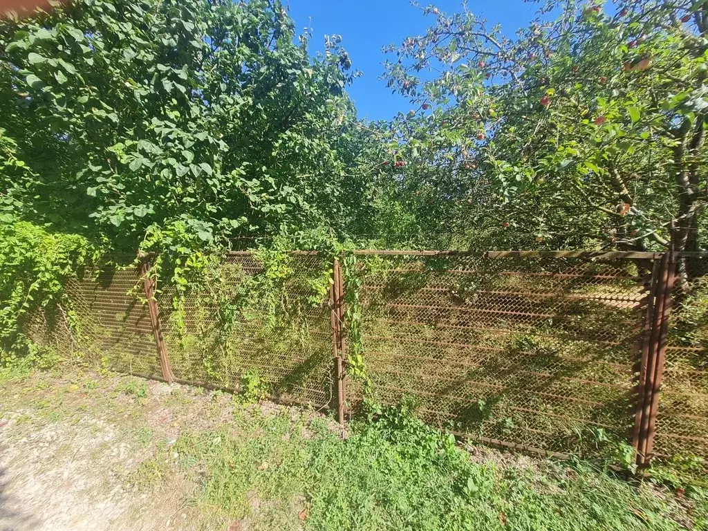 Участок в Краснодарский край, Северский район, Афипское городское ... - Фото 2