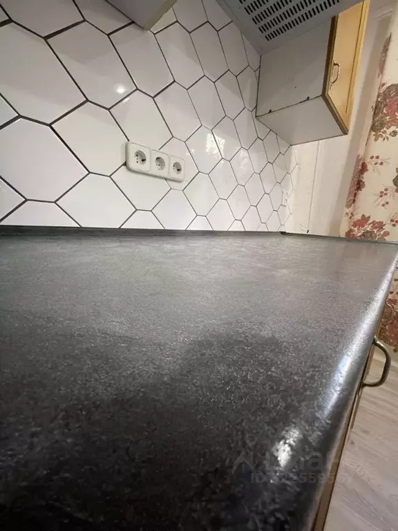 3-к кв. Алтайский край, Барнаул Красноармейский просп., 57 (69.9 м) - Фото 2