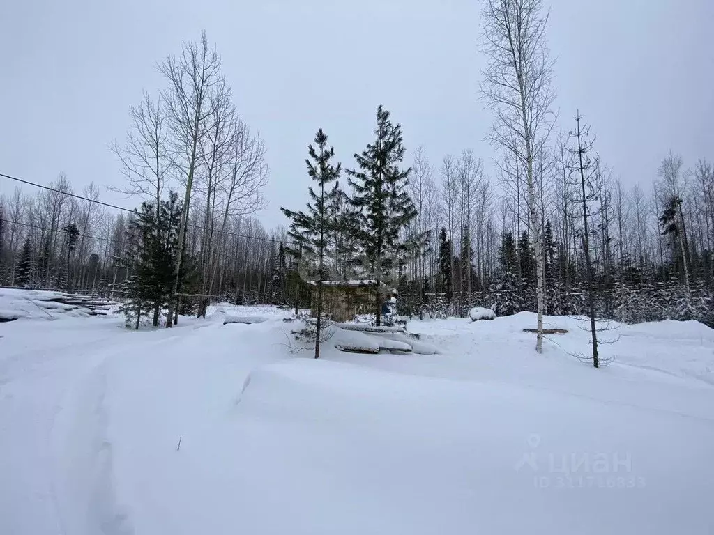 Участок в Ханты-Мансийский АО, Ханты-Мансийск Мир СОНТ,  (845.0 сот.) - Фото 0