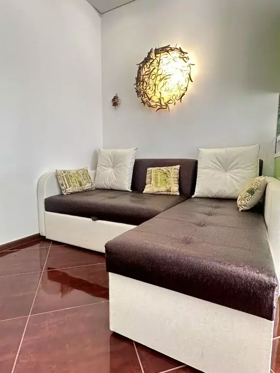 Студия Краснодарский край, Сочи Благодатная ул., 53 (20.0 м) - Фото 2