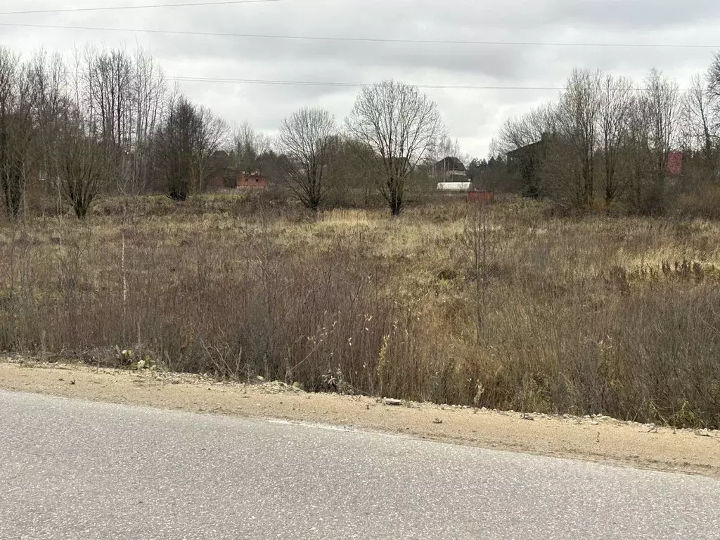 Участок в Владимирская область, Александровский муниципальный округ, ... - Фото 1