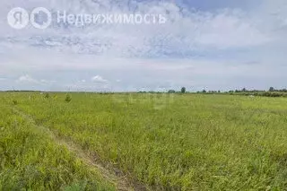 Участок в Тюмень (12.2 м) - Фото 0