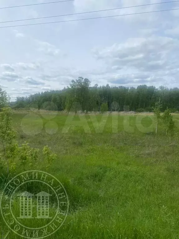 Участок 10,18 га (СНТ, ДНП) - Фото 0