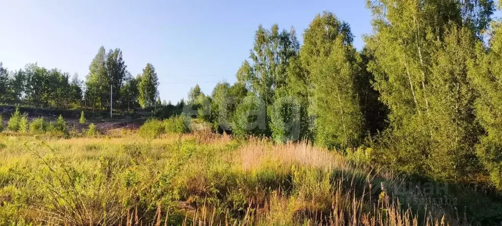 участок в смоленская область, смоленский муниципальный округ, . - Фото 1