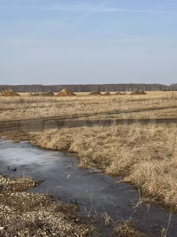 Участок 11 сот. (ИЖС) - Фото 1