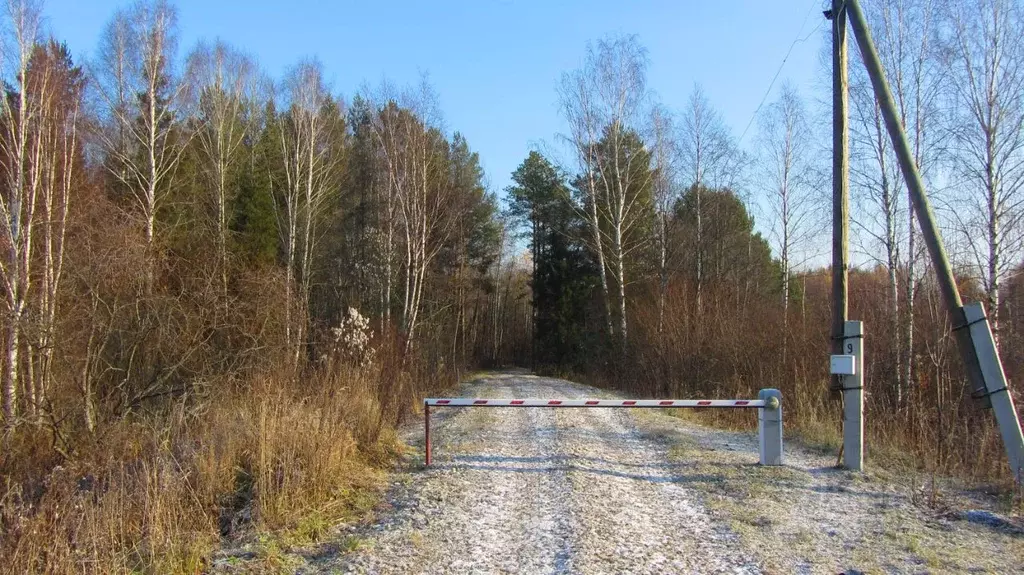 Участок в Кировская область, Куменский район, д. Ворсино  (40.0 сот.) - Фото 1