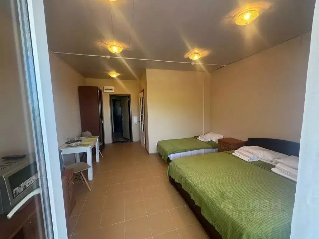 Студия Краснодарский край, Сочи ул. Декабристов, 22Г (24.0 м) - Фото 0