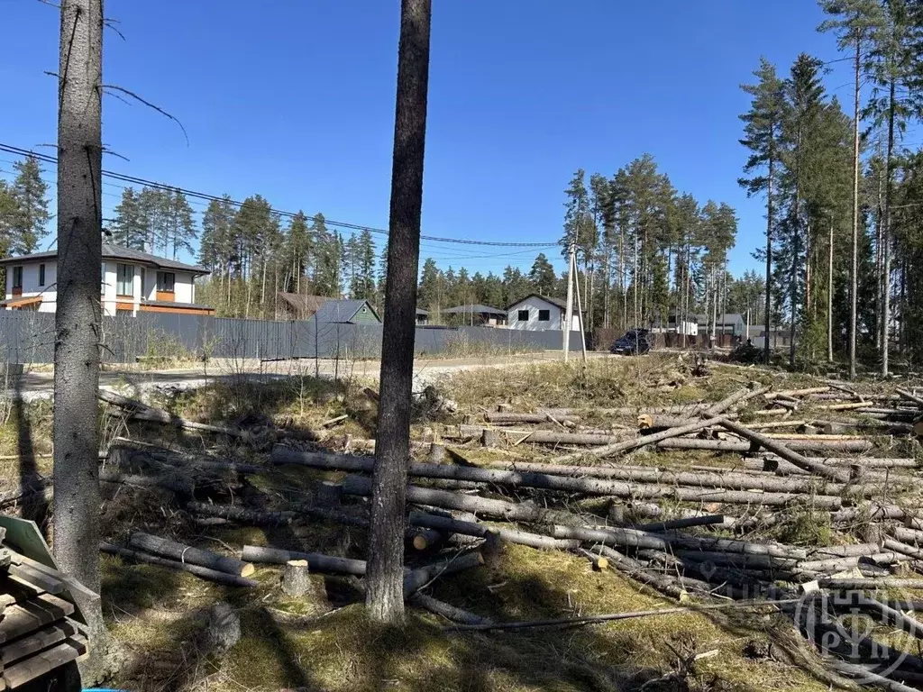 Участок в Ленинградская область, Всеволожский район, Сертоловское ... - Фото 1