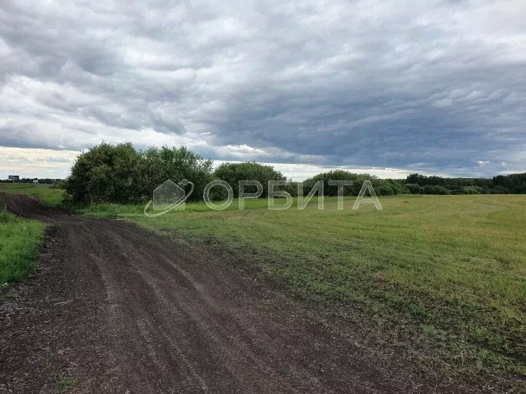 Участок в Тюменская область, Тюмень  (10.19 сот.) - Фото 0