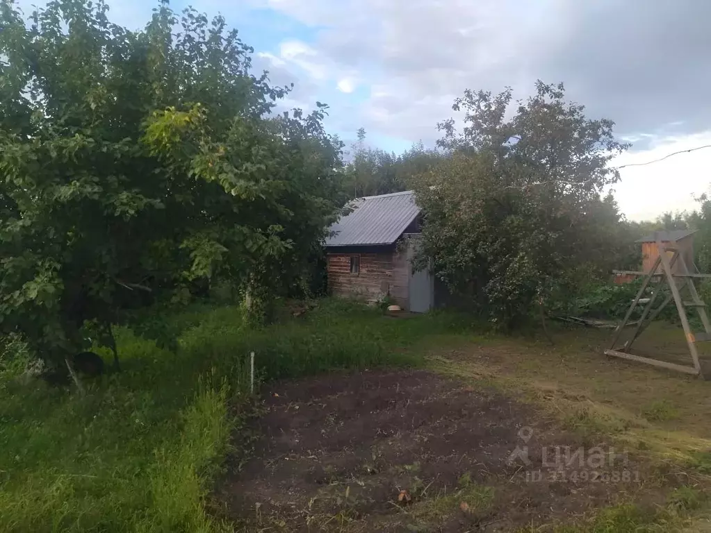 Дом в Алтайский край, Барнаул Декоратор СНТ,  (28 м) - Фото 1