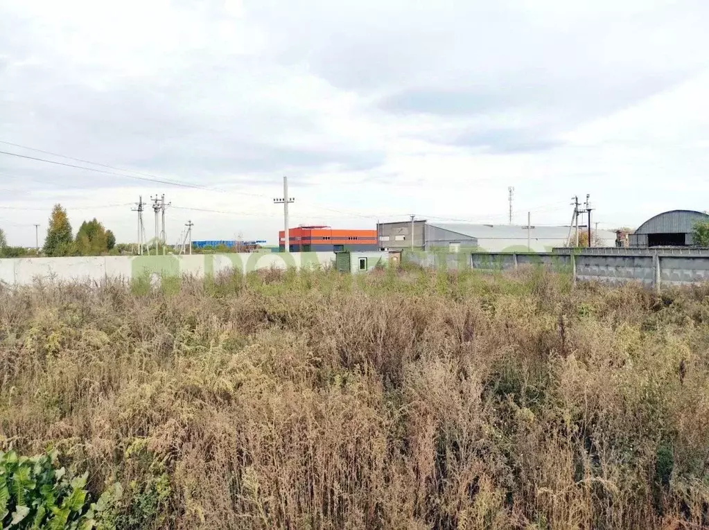 Участок в Новосибирская область, Новосибирск  (50.0 сот.) - Фото 1
