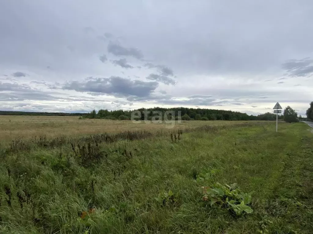 Участок в Владимирская область, Муром д. Макаровка, ул. Центральная ... - Фото 1