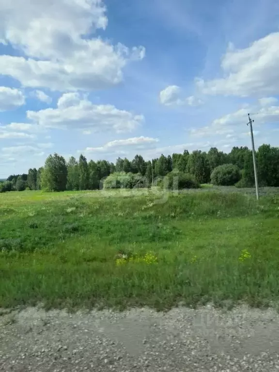 Участок в Свердловская область, Горноуральский городской округ, с. ... - Фото 1