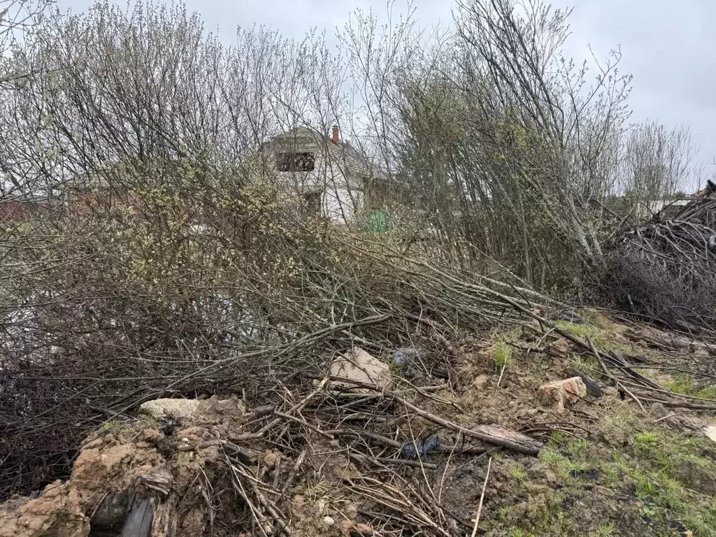 Участок в Московская область, Пушкинский городской округ, д. Луговая  ... - Фото 1