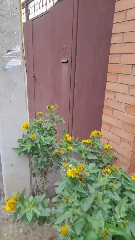 Дом в Ростовская область, Ростов-на-Дону Сельмаш мкр, ул. ... - Фото 1