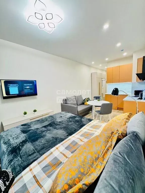 Студия Москва проезд Серебрякова, 11к2 (24.6 м) - Фото 2