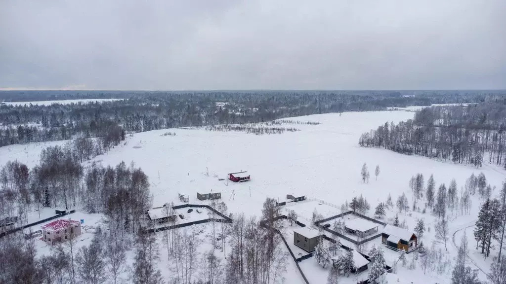 Участок в Ленинградская область, Всеволожский район, Куйвозовское ... - Фото 1