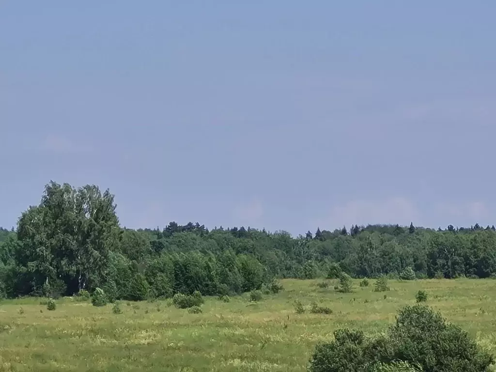 Участок в Владимирская область, Александровский район, Каринское ... - Фото 0