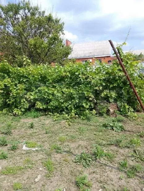 Участок 6,2 сот. (ИЖС) - Фото 0