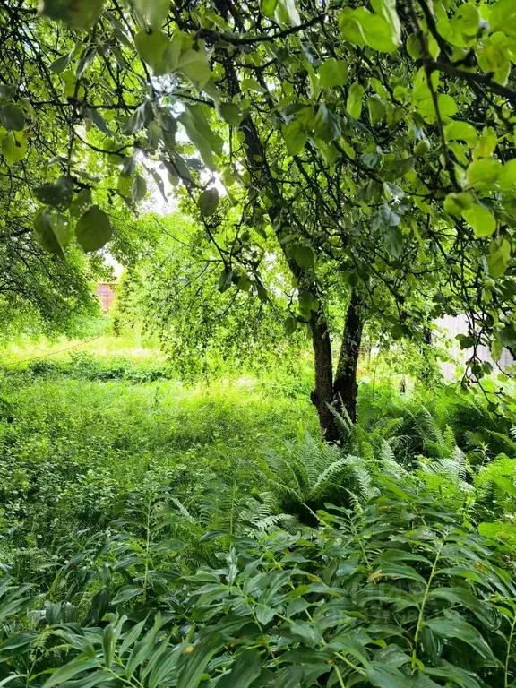 Участок в Московская область, Ленинский городской округ, д. Белеутово ... - Фото 1