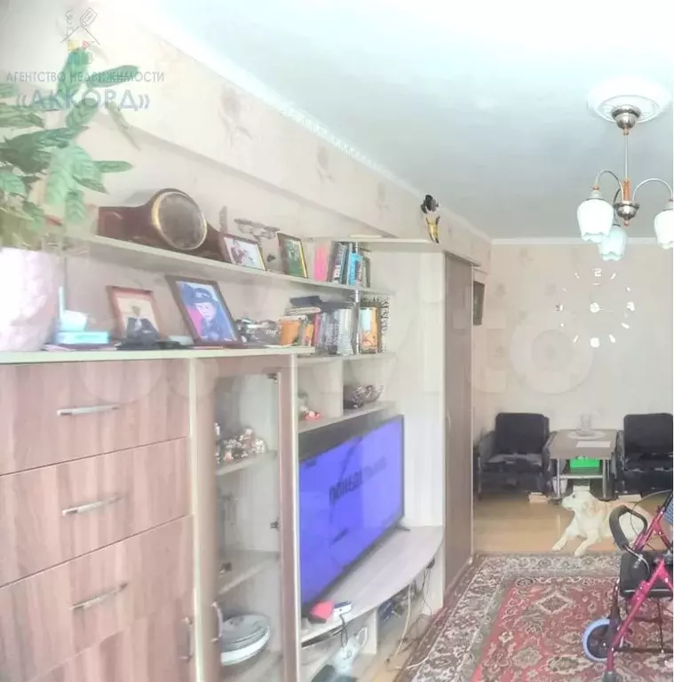 3-к. квартира, 48,2 м, 5/5 эт. - Фото 1