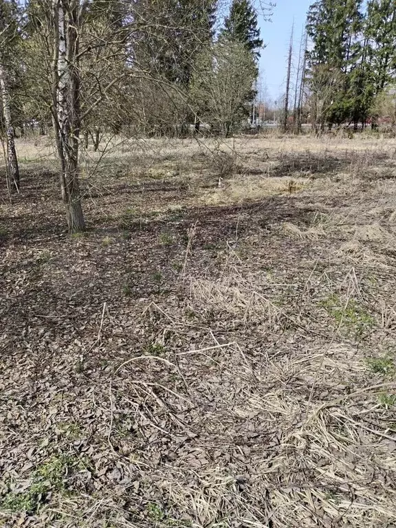 Участок 8 сот. (ИЖС) - Фото 1