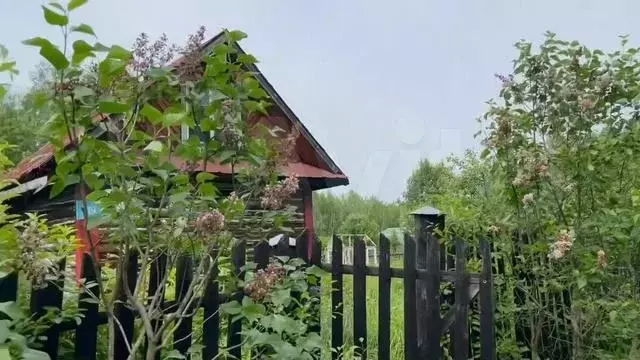 Дача 20,3 м на участке 11 сот. - Фото 1