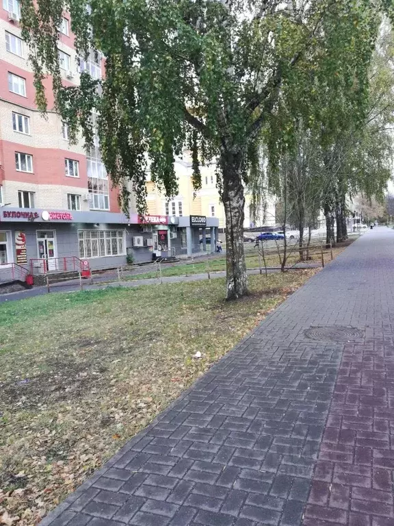 2-к кв. Мордовия, Саранск ул. Марины Расковой, 43 (70.0 м) - Фото 2