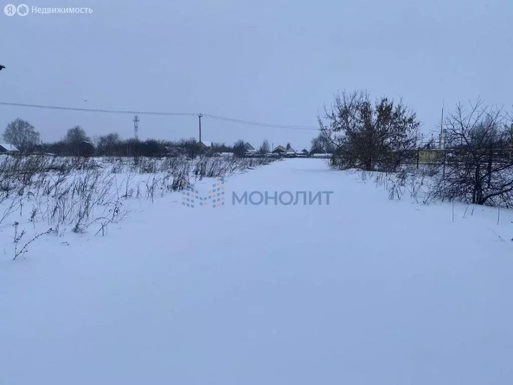 Участок в Нижегородская область, Богородский муниципальный округ, ... - Фото 1