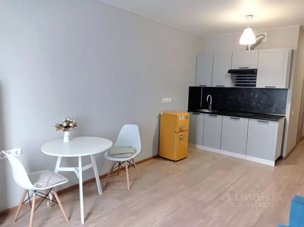 Студия Московская область, Люберцы городской округ, Томилино пгт, ... - Фото 2