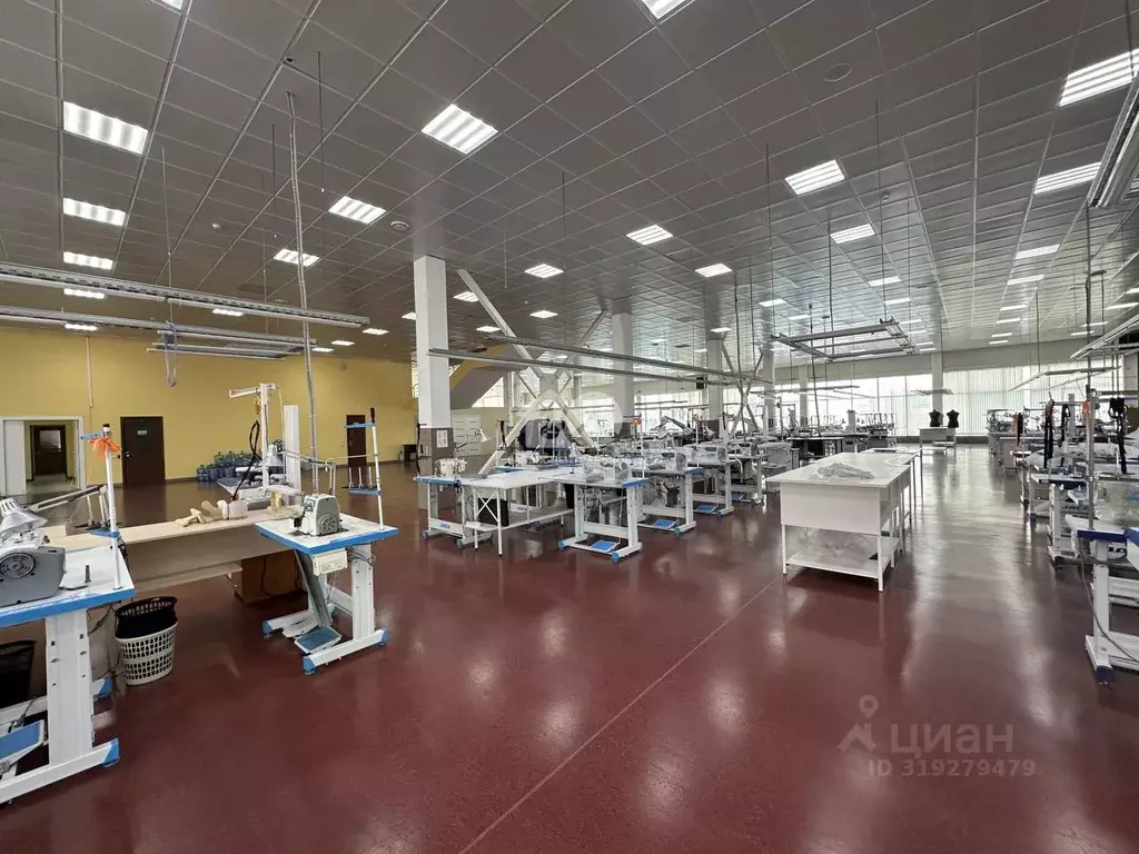 Помещение свободного назначения в Новосибирская область, Новосибирск ... - Фото 2