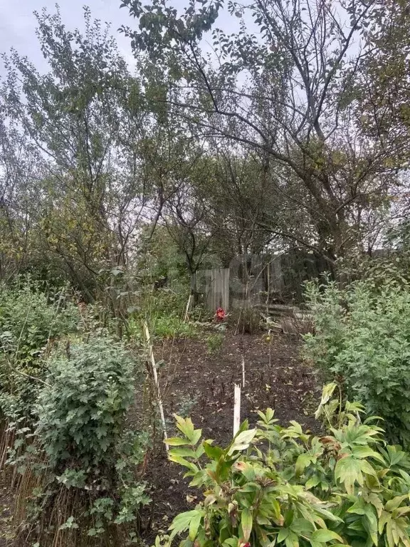 Участок в Северная Осетия, Алагир ул. С. Кодоева (5.0 сот.) - Фото 2