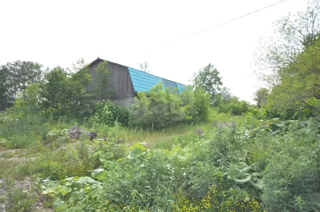 Участок в Сахалинская область, Южно-Сахалинск ул. Сиреневый Двор, 517 ... - Фото 1