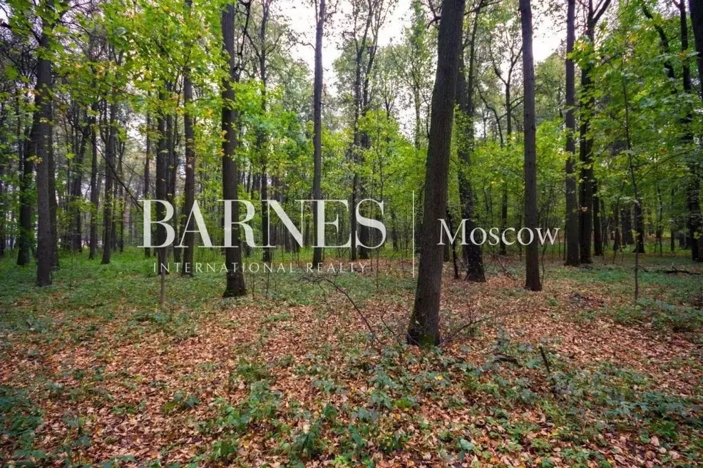 Участок в Московская область, Одинцовский городской округ, Горское ... - Фото 0