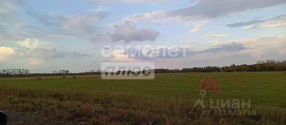 Участок в Челябинская область, Красноармейский муниципальный округ, ... - Фото 1