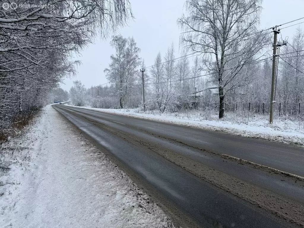 Участок в Владимирская область, Александровский муниципальный округ, ... - Фото 1