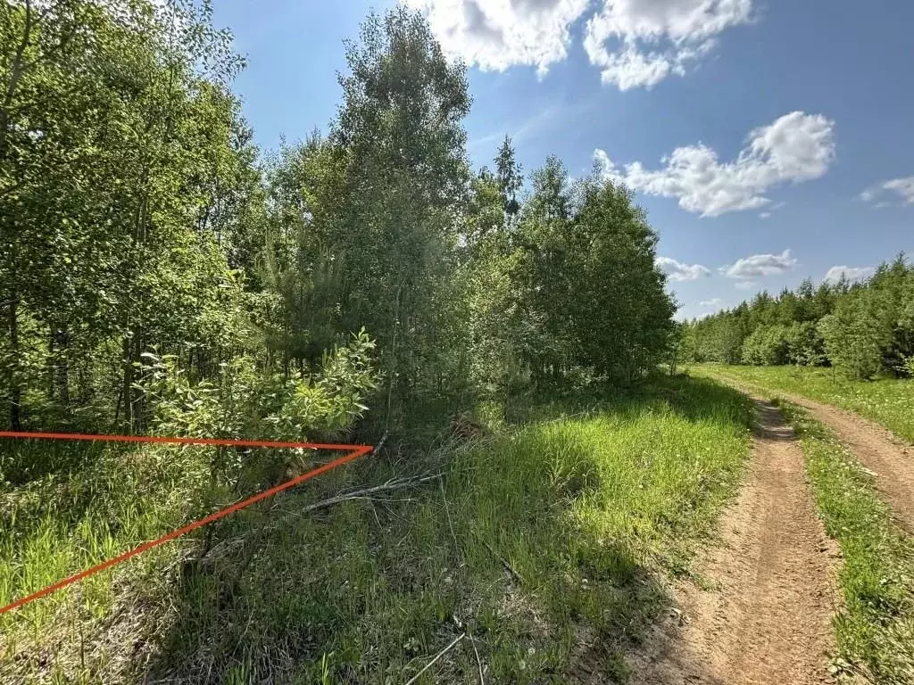 Участок в Иркутская область, Шелеховский район, Баклашинское ... - Фото 1