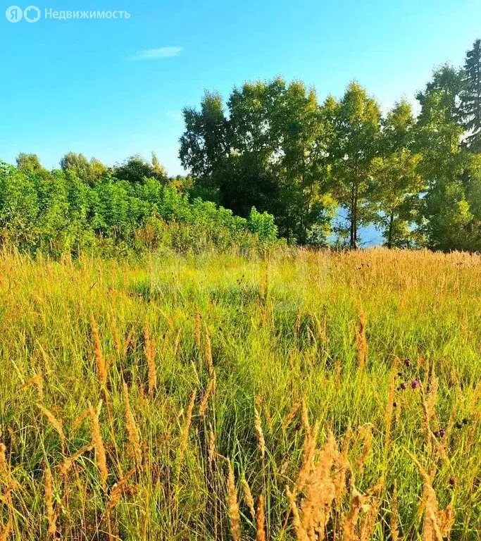 Участок в Вятскополянский район, Гремячевское сельское поселение, ... - Фото 2