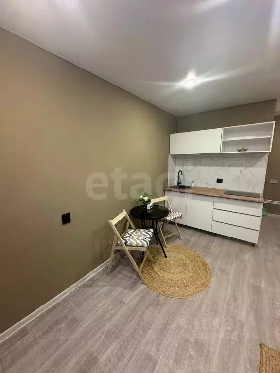 Студия Пермский край, Пермь ул. Емельяна Ярославского, 10/7 (17.2 м) - Фото 1