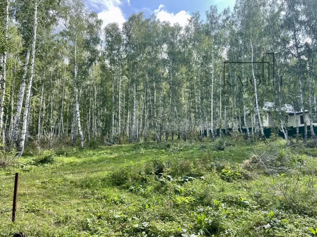 Участок в Башкортостан, Абзелиловский район, Ташбулатовский сельсовет, ... - Фото 0