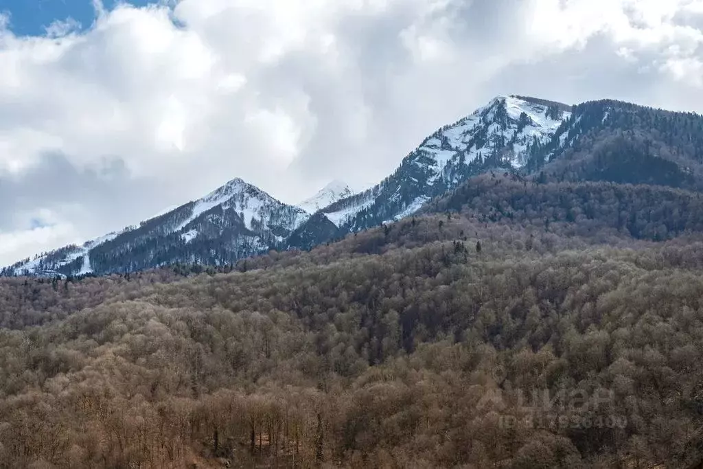 1-к кв. Краснодарский край, Сочи Красная Поляна пгт, ул. Трудовой ... - Фото 1