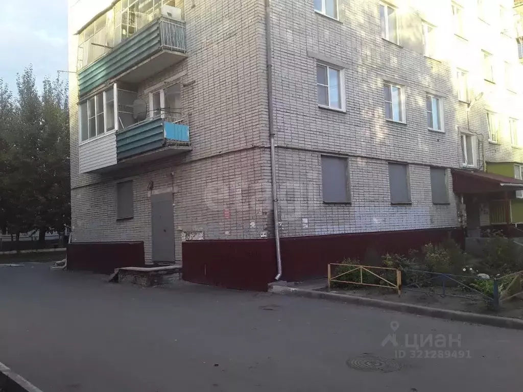 Торговая площадь в Курганская область, Курган ул. Орлова, 83 (109 м) - Фото 2